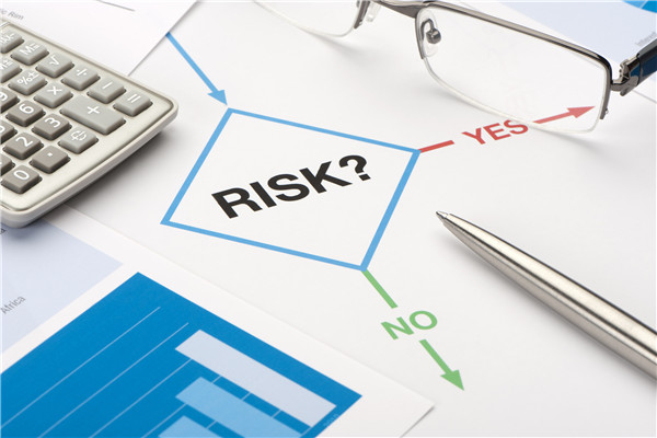 What Is the Foreign Exchange Risk?