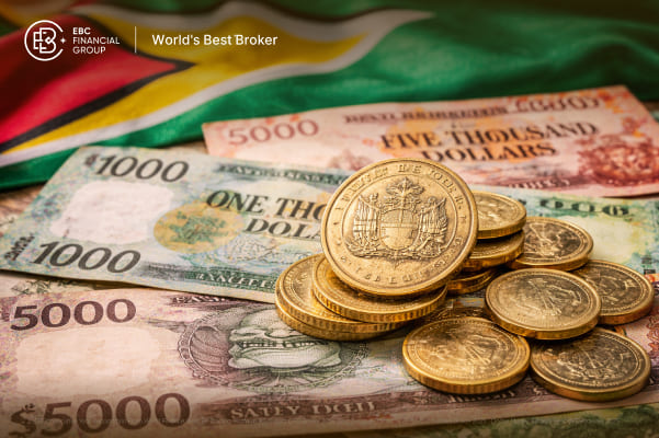 Qual é a moeda da Guiana?