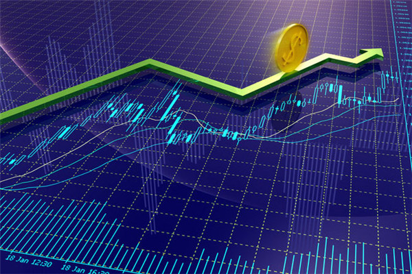 Descripción de los términos del pedido de divisas