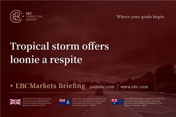 Tropical storm offers loonie a respite