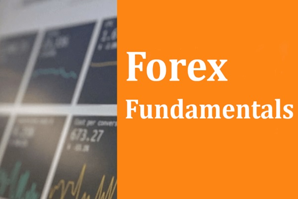 Conceptos básicos del mercado Forex: significado y estrategias