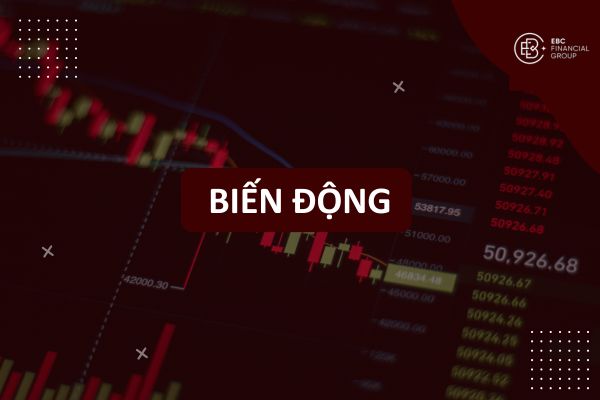 Biến động giá là gì? Nguyên nhân, ảnh hưởng và chiến lược