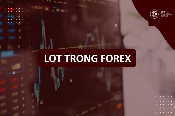 Lot là gì? Ý nghĩa và cách tính lot trong Forex - 1 lot là bao nhiêu?