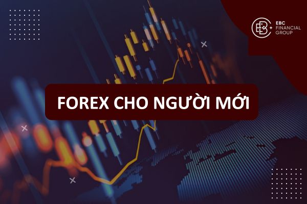 Hướng dẫn cách chơi Forex cho người mới bắt đầu