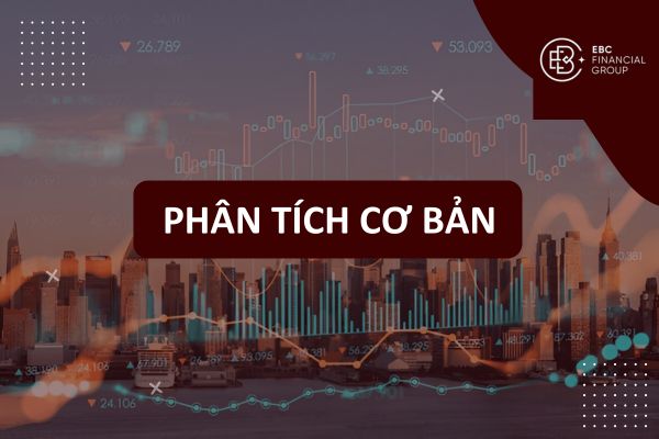 Cách phân tích cơ bản trong giao dịch Forex cho đầu tư chuyên nghiệp