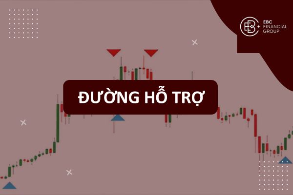 Hỗ trợ là gì? Cách vẽ đường hỗ trợ và vùng hỗ trợ trong phân tích kỹ thuật