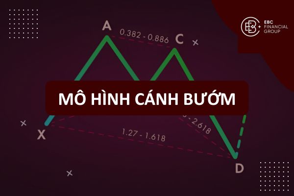 Mô hình cánh bướm (Butterfly pattern) tăng và giảm trong phân tích kỹ thuật