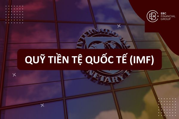 Quỹ tiền tệ quốc tế IMF là gì? IMF là tên viết tắt của tổ chức nào?
