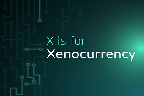 Раскрытая ксеновалюта: что это значит для ваших денег