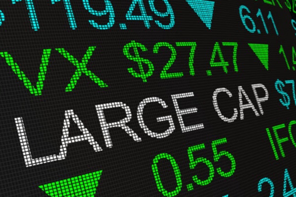 The Stability and Growth of Large Cap Stocks in 2025