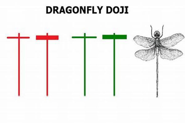 هل يستطيع مؤشر دوجي اليعسوب التنبؤ بحركة التداول التالية؟
