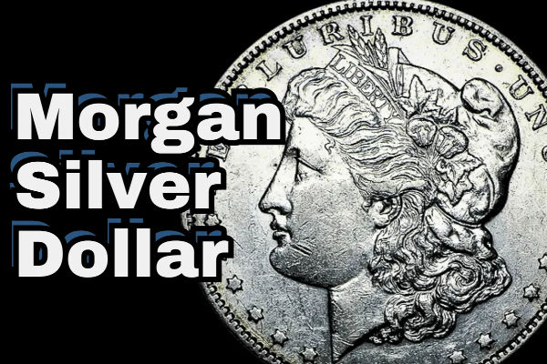 मॉर्गन सिल्वर डॉलर की कीमत कितनी है: वार्षिक मूल्य