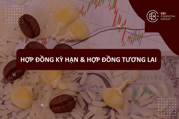 Hợp Đồng Kỳ Hạn và Hợp Đồng Tương Lai Là Gì? So Sánh Hợp Đồng Giao Sau & Kỳ Hạn