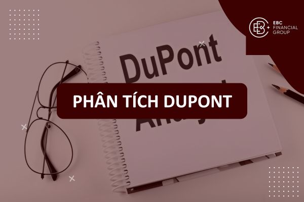 Phân Tích DuPont: Mô Hình, Công Thức, Phương Pháp, Phương Trình