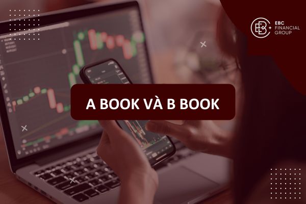 A Book, B Book, C Book là gì? Sự khác biệt giữa các mô hình broker Forex