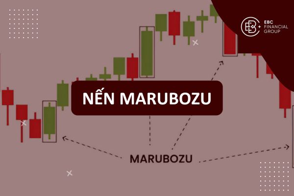 Nến Marubozu là gì? Phân Tích Lực Nến, Bullish & Bearish