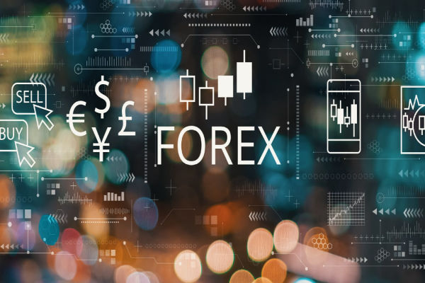 Cara Memilih Broker Trading Forex Terbaik untuk Anda