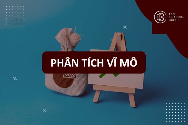 Phân Tích Kinh Tế Vĩ Mô Là Gì? Hiểu Rõ Vĩ Mô, Vi Mô & Các Chỉ Số Kinh Tế