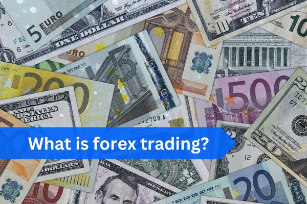 ¿Qué es Forex trading? ¿Cómo ganan dinero los traders?