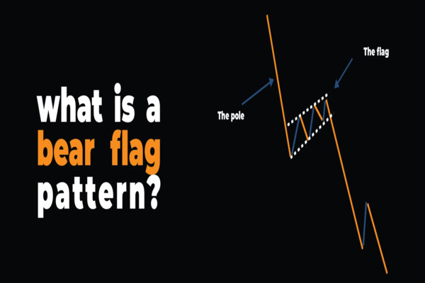 Fitur Utama dan Cara Mengenali: Pola Bendera Beruang