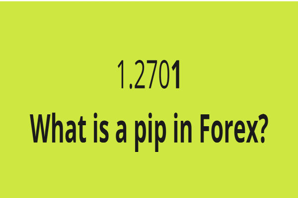 Пип гэж юу вэ? Анхлан Суралцагчдын Алхамчилсан Гарын Авлага