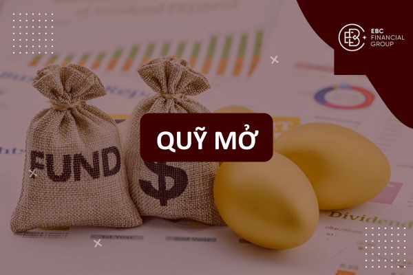 Quỹ mở là gì? Hướng dẫn đầu tư quỹ mở uy tín tại Việt Nam