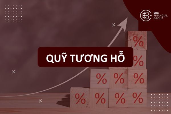 Quỹ đầu tư tương hỗ (mutual fund) là gì?