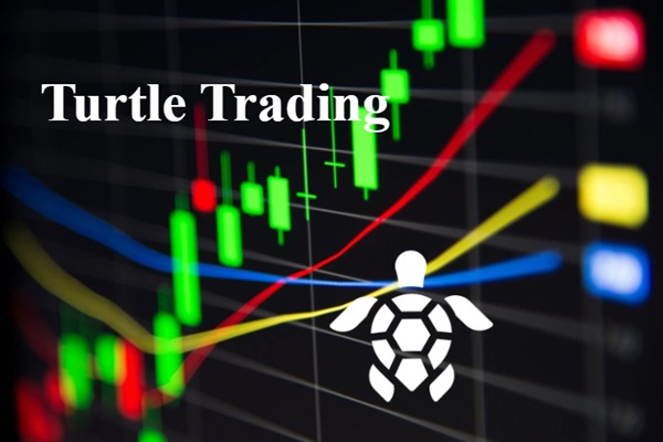 Estrategia del comercio de tortugas: una guía para principiantes