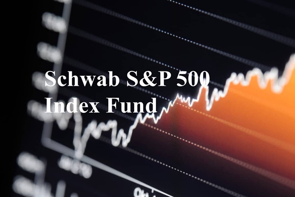 SWPPX 이해: 장점, 성과 및 포트폴리오 역할