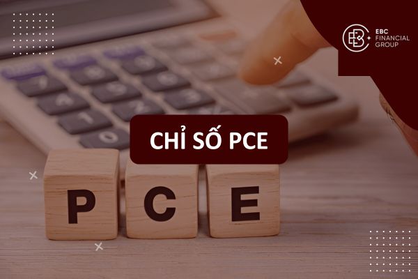 PCE là gì? Tìm hiểu chỉ số PCE, đơn vị tính và ý nghĩa tiêu dùng cá nhân