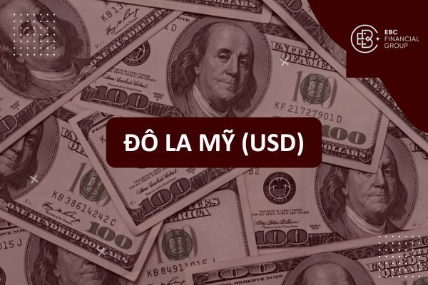 Đồng Đô la Mỹ USD: Lịch sử, Mệnh giá, Vai trò