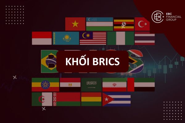 Khối BRICS là gì? Các nước thuộc nhóm tổ chức BRICS