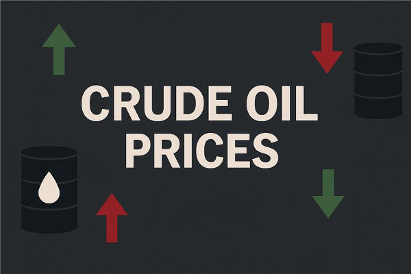 지정학이 전 세계 원유 가격에 미치는 영향: 예시