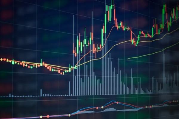 Trading Pola Harmonik: Dari AB=CD hingga Butterfly