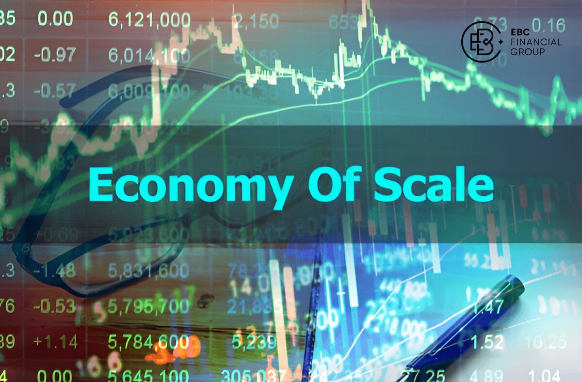 Kinh tế quy mô (economies of scale) là gì?