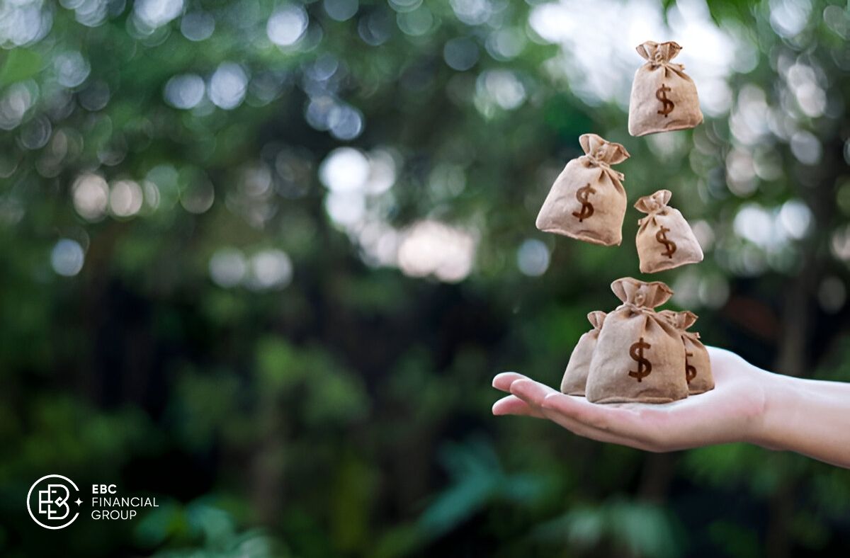 Bản chất của tiền tệ là gì?