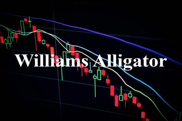 Tidur atau Makan? Memahami Buaya Williams