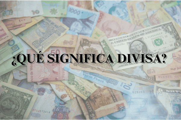 ¿Qué significa divisa? Todo lo que debes saber sobre el término y su impacto en la economía global
