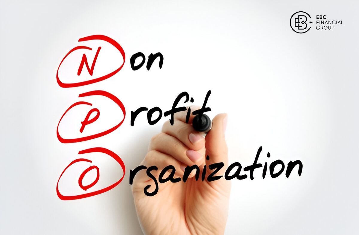 Tổ chức phi lợi nhuận (NPO - Non-profit organization) là gì?