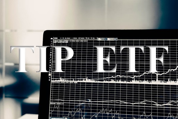 왜 TIPS ETF가 최고의 인플레이션 방어 수단이 될 수 있는가