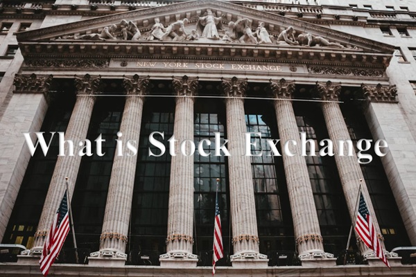 O Que é a Bolsa de Valores e Como Ela Funciona?