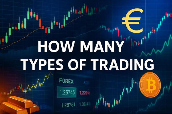 ¿Cuántos tipos de operaciones existen? Acciones, Forex y más