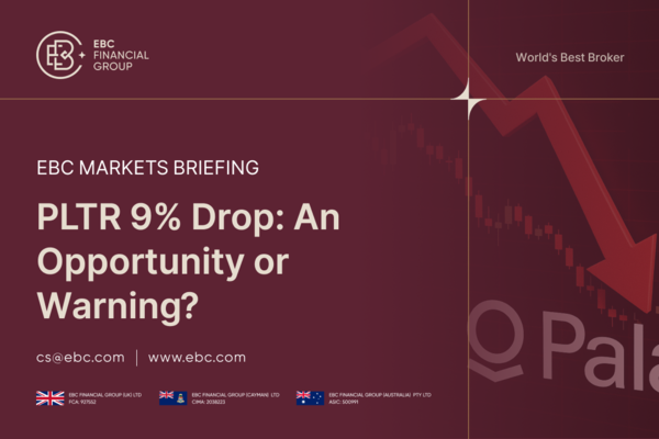 Is PLTR's 9% Stock Decline a Buying Opportunity or Warning?