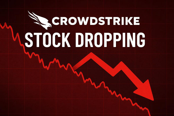 クラウドストライク社の株価が下落しているの