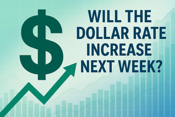 다음 주 달러 환율 전망: 전문가 분석