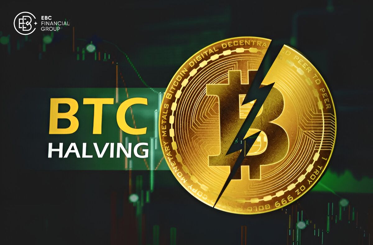 Bitcoin Halving là gì? Cần chuẩn bị gì cho chu kỳ tiếp theo?