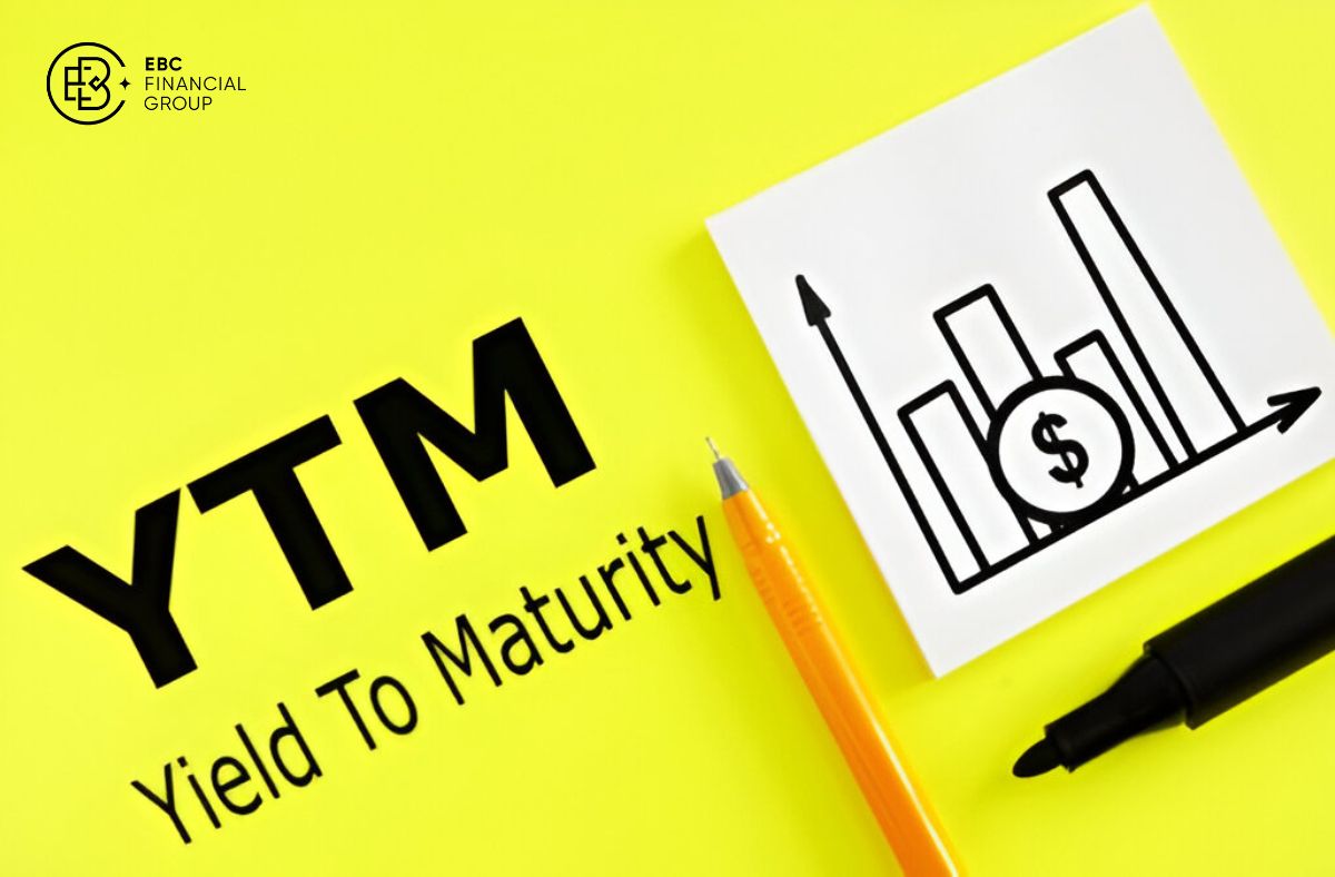 Yield to Maturity (YTM) là gì? Hướng dẫn tính trong 3 phút