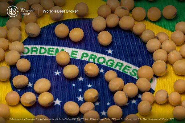 ارتفاع أسعار السبائك وسط تصاعد التوترات بين الولايات المتحدة والصين