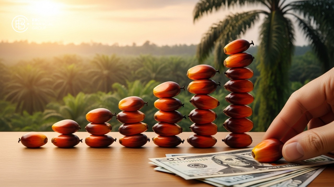 Giá dầu cọ thế giới: Phân tích & dự báo xu hướng mới