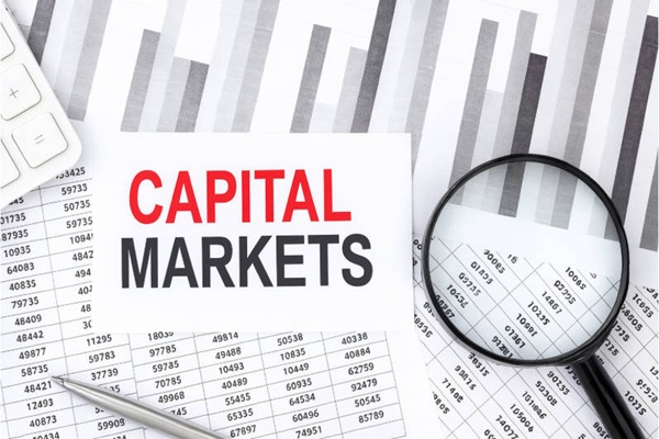 Domine los tipos de mercado de capitales hoy